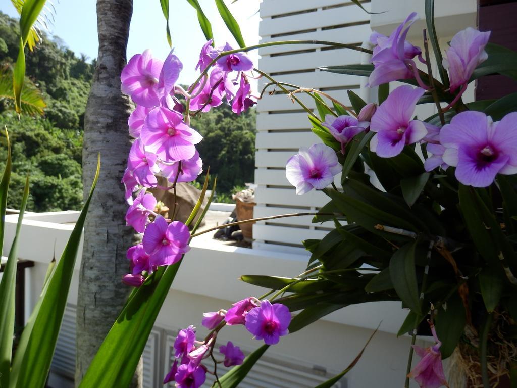 Kata Beach Studio Bagian luar foto